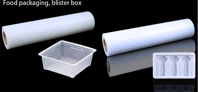 Clear Plastic Underwear Packaging PVC Pet PP Polyester Box with Euro Hook Hanger Design